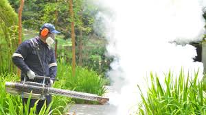 Best Pest Exclusion Services  in Sand Point, AK